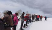 Trail Snowshoes La Pesse - la Pesse rando raquette neige  - Photo 2