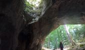 Tour Wandern Presles - Fontaine de Pétouze- Grotte des boeufs - Photo 4