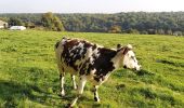 Tour Wandern Valorbiquet - La Chapelle Yvon  - Photo 9