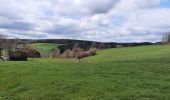 Tour Wandern La Roche-en-Ardenne - Etape 1 - Photo 6