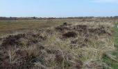 Randonnée A pied Terschelling - Doodemanskisten en Seinpaalduin - Photo 5