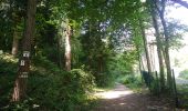 Trail Walking Sentheim - Baerenkopf  - Photo 1