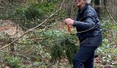 Trail Walking Libin - Libin - Photo 1