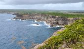 Tocht Stappen Anse-Bertrand - Guadeloupe - Pointe de la Petite Vigie à Pointe de la Grande Vigie - Photo 10