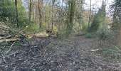 Tour Wandern Welkenrath - Welkenraedt - Eupen gare à gare 24 km - Photo 15