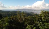 Trail Walking Les Trois-Îlets - Morne Gardier - Morne du Riz - Photo 3