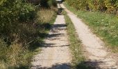 Trail Walking Suzette - Suzette-saint Amand-pas du loup - Photo 10