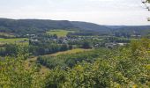 Tour Wandern Vresse-sur-Semois - Balade à Chairière - Vresse sur Semois - Photo 14