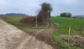 Trail Walking Walcourt - Yves Gomezee 060323 - Photo 15