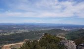 Randonnée Marche La Roquebrussanne - la montagne de la Loube - Photo 5