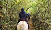 Trail Equestrian Charleville-sous-Bois - Wikiloc - Gondreville - Les secrets des bois - Photo 14
