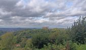 Trail Walking Chaudfontaine - chaudfontaine gare . fort . basilique chevremont . château des thermes . gare  - Photo 9