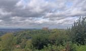 Tour Wandern Chaudfontaine - chaudfontaine gare . fort . basilique chevremont . château des thermes . gare  - Photo 9