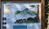 Tour Wandern Saint-Maurice-de-Lignon - boucle passerelle du lignon-11 km - Photo 14