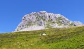 Randonnée Marche Aydius - pic mailh massibe et pic montagnon - Photo 2