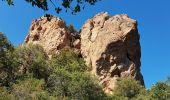 Tour Wandern Bagnols-en-Forêt - BAGNOLS EN FORÊT - LES GORGES DU BLAVET - Photo 10