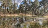 Excursión Senderismo Fontainebleau - Fait TB boucle depuis maison ONF FBleau vers carrefour de Franchard et retour - Photo 9