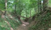 Trail Walking Yvoir - Durnal / 2020-07-19 / 15 km - Photo 8