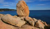 Trail Walking Ramatuelle - Bonne Terrasse - Cap Camarat - Plage de l'Escalet - Pointe de la Douane - Cap Lardier - Pointe de Brouis - Plage de Gigaro - Photo 11