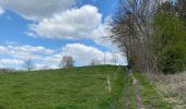 Tour Wandern Grez-Doiceau - Grez Doiceau Gottechain - Photo 8