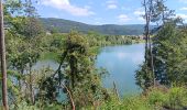 Tour Wandern Matafelon-Granges - les 2 vallées sous la mousse ... - Photo 18