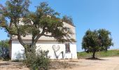 Tour Wandern Vivès - mme sentier de Vives  - Photo 9