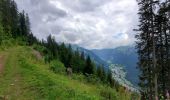 Tocht Stappen Châtel - Super Chatel vers Chatel - Photo 4