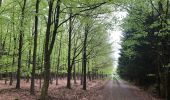 Tour Wandern Stablo - Stavelot et les crêtes de l’Amblève - Photo 8