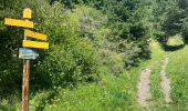 Tocht Trail Saint-Jean-de-Maurienne - Saint jean de Maurienne - Le Grand Chatelard - Photo 10