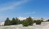 Randonnée Marche Brantes - Ventoux Signal  - Photo 1