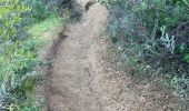 Trail Walking Coti-Chiavari - Sentier du Myrthe - Photo 5