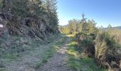 Trail Walking Loubaresse - Loubaresse ruisseau de goutelles 10 km - Photo 6