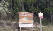 Tocht Stappen Villeneuve-de-Berg - la forêt des sens Villeneuve de Berg  - Photo 1