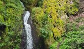 Trail Walking Oberhaslach - Circuit des 2 cascades - Photo 2