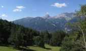 Tour Mountainbike Barcelonnette - VTT Circuit de la Bérarde n°3 - Photo 1