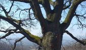 Trail Walking Chasselay - Chasselay chemin de Fromentin vers Limonest Mt Verdun - Photo 6