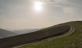 Tour Zu Fuß Reggio Emilia - Vasca Corbelli - Puianello - Montebello - Monte della Sella - Photo 8