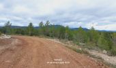 Tocht Stappen Saint-Clément-de-Rivière - St Clément de Rivière  - Photo 1