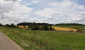 Tour Wandern Wanze - moha promenade de la pierre - Photo 18