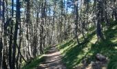 Trail Walking Les Orres - lac sainte marguerite montee par la piste redescente par la cabane d eyssalette - Photo 5