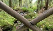 Tocht Stappen Thiéfosse - Gorges de crosery  - Photo 2