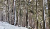 Tocht Mountainbike Fréland - tour de Fréland hivernal - Photo 1