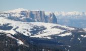 Tour Zu Fuß Tiers - (SI C17N OLD) San Cipriano Tires - Rifugio Bolzano - Photo 8