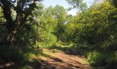 Trail Walking Lacroix-Saint-Ouen - en forêt de Compiègne_35_la Croix Saint-Sauveur_le Ru du Goderu - Photo 5