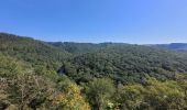 Tour Wandern Hohenfels - rando nadrin 10-09-2023 - Photo 6