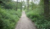 Trail On foot Welwyn Hatfield - WGC100 Centenary Walk - Photo 6