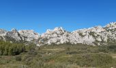 Excursión Senderismo Aureille - Vigie d'Aureille - Photo 2