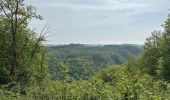 Tocht Stappen La Roche-en-Ardenne - Warempage 23 km - Photo 12