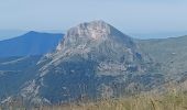 Tour Wandern Auzet - AUZET. COL DE LA PINEE . LE MARZENC . N . O L - Photo 7