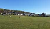 Tour Wandern Sotteville-sous-le-Val - 20260407-sotteville sous le val cool - Photo 14